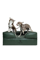 NOAH & PAW dog bed orthopedic-foam-core supports joints for medium pets.