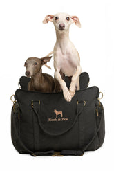 NOAH & PAW dog car seat carrier car setup demonstrates secure installation for small dogs.