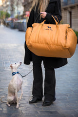 NOAH & PAW harness clip detail promotes safe restraint during rides.