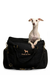 NOAH & PAW dog car seat with clip-on leash offers secure travel safety.