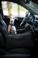 NOAH & PAW dog car seat carrier harness clip shown for safer rides with pets.