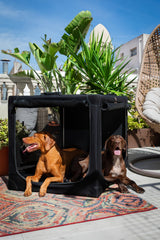 NOAH & PAW stainless-steel frame emphasizes kennel durability