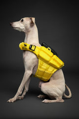 NOAH & PAW foam-side panels aid buoyancy during entry and exit