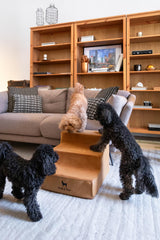 NOAH & PAW dog stairs bed-edge view for easier bed access.