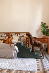 NOAH & PAW dog stairs leather collection side view highlights sleek design and stable base