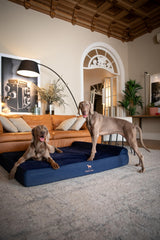 NOAH & PAW Giant Bed XXL foam core showing supportive base for joint relief