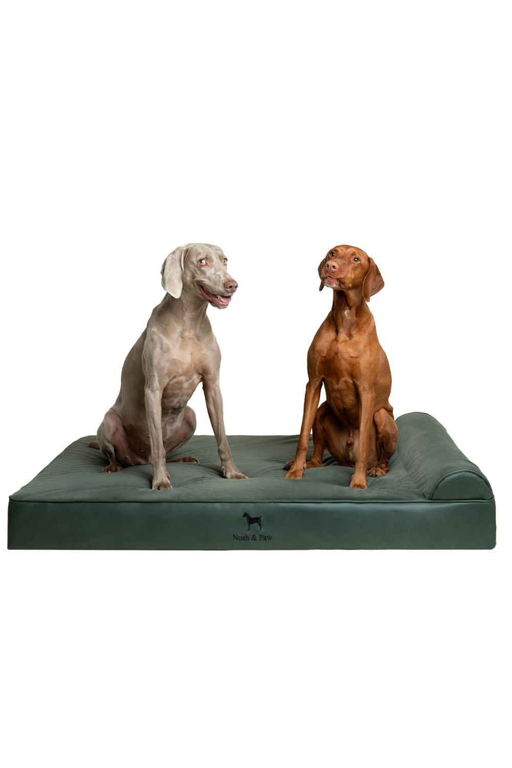 NOAH & PAW Giant Dog Bed XXL close-up shows cooling gel memory foam layer for comfort.