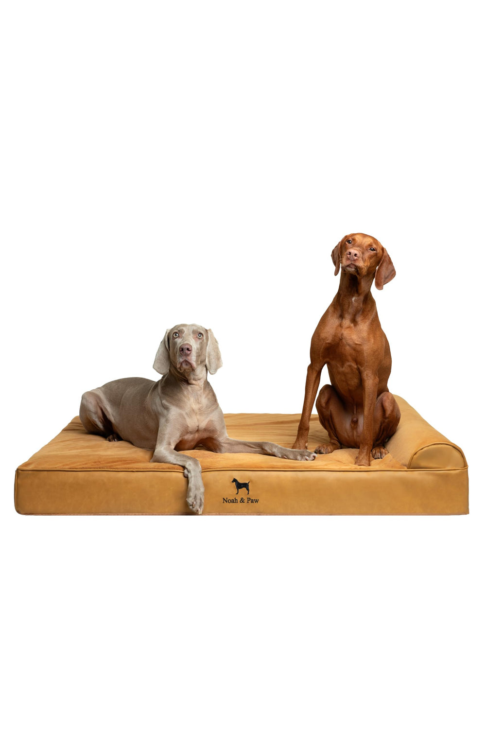 NOAH & PAW Giant Dog Bed XXL front view shows ample space for large dogs