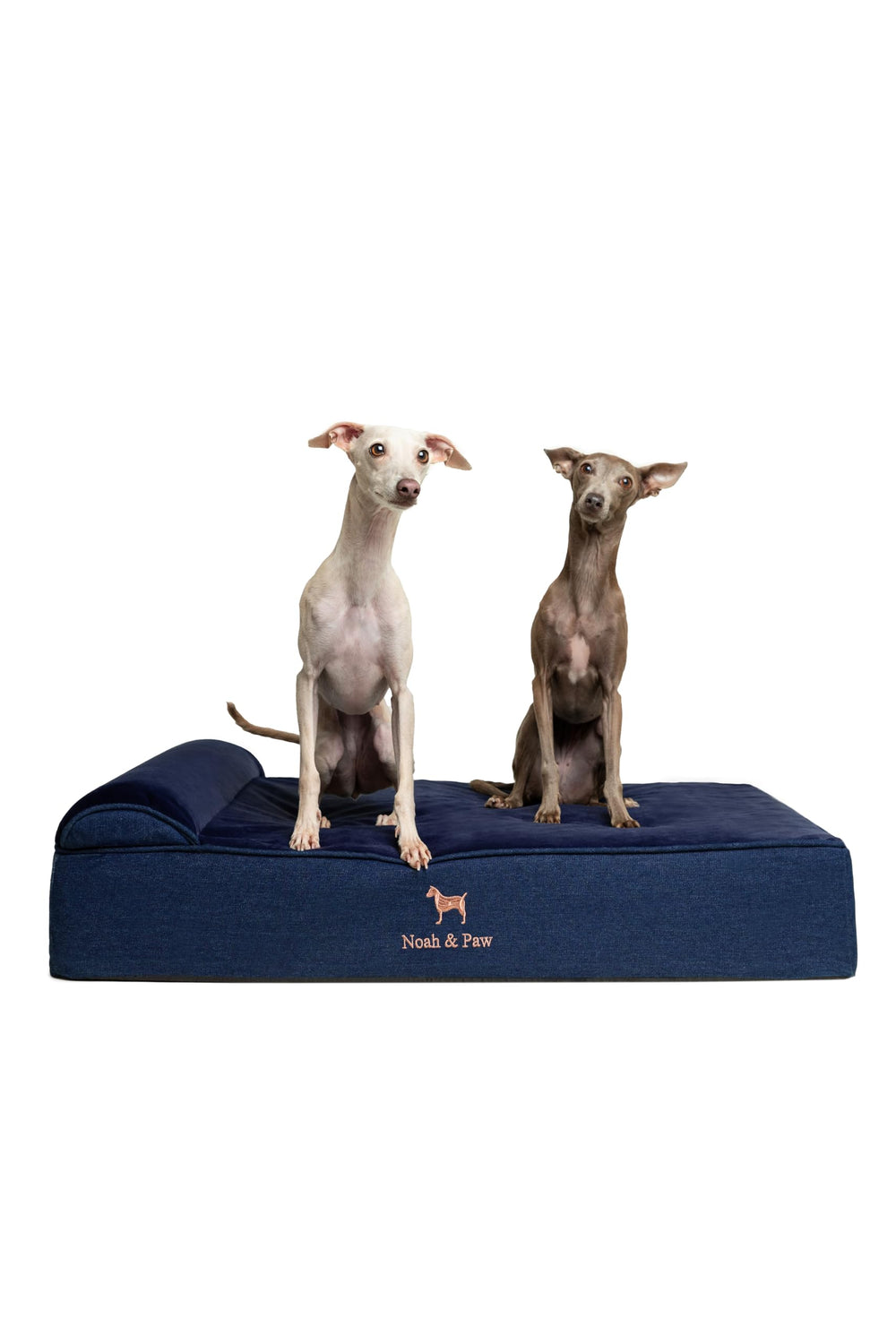NOAH & PAW Large Dog Bed denim cover front view shows durable, cozy design for daily comfort.