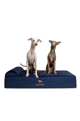 NOAH & PAW Large Dog Bed denim cover front view shows durable, cozy design for daily comfort.