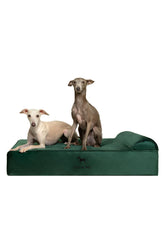 NOAH & PAW large dog bed foam detail highlights orthopedic joint support.