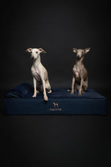 NOAH & PAW Large Dog Bed foam layers close-up highlighting orthopedic support and cooling features.