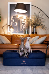 NOAH & PAW memory foam cooling gel layer provides cooling comfort.