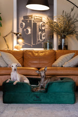 NOAH & PAW large dog bed inner cover protects padding and simplifies washing.