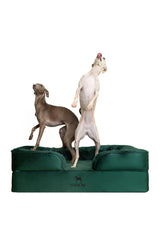 NOAH & PAW large dog bed outer cover shows waterproof fabric for easy cleaning.