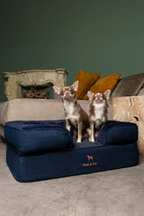 NOAH & PAW orthopedic memory-foam core close-up highlights plush, pressure-relieving comfort