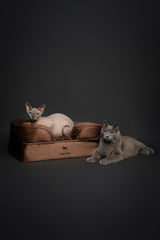 NOAH & PAW orthopedic memory foam layer supports comfort and posture.