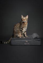 NOAH & PAW small bed waterproof outer cover shown for easy cleaning
