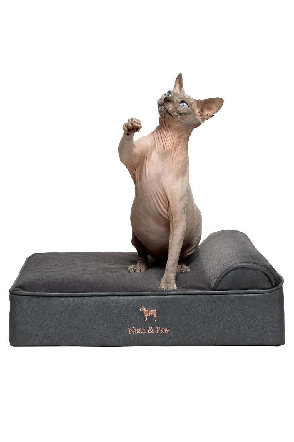 NOAH & PAW small dog bed foam-core with cooling gel supports joints and comfort