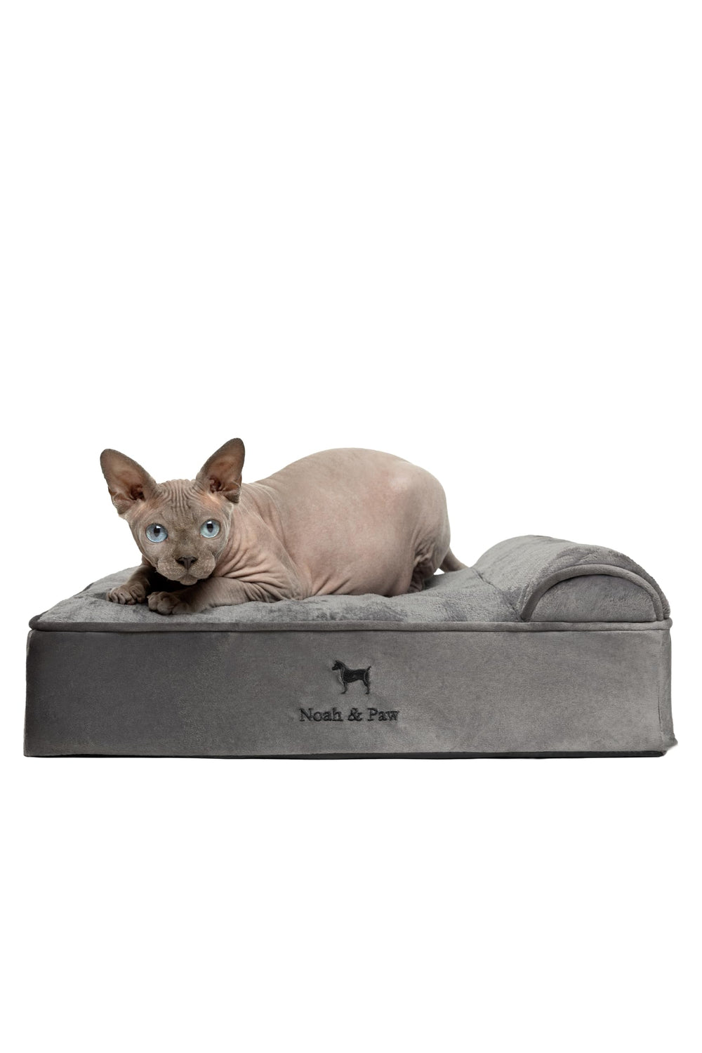 NOAH & PAW small-dog-bed-foam-ensemble offers orthopedic support for relaxed naps.