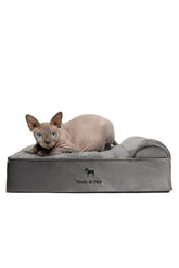 NOAH & PAW small-dog-bed-foam-ensemble offers orthopedic support for relaxed naps.