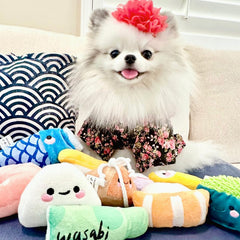 Nocciola sushi toy closeup squeaker adds engaging sound for interactive chewing.