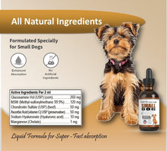 NODENS bottle close-up showing liquid formula with meat-flavor appeal for picky dogs