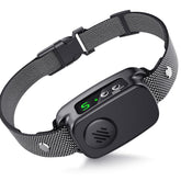 NOIDECE bark collar worn by a large dog during training for controlled barking