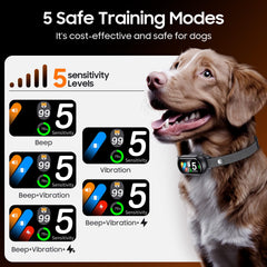 NOIDECE Bark Collar worn by dog during daily walks demonstrates comfortable wear and calm communication.