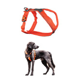 Non-stop dogwear Line Harness 5.0 orange front-view for high-visibility hikes