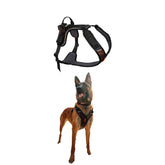 Non-stop dogwear Rock Harness back-clip for versatile leash setup and control