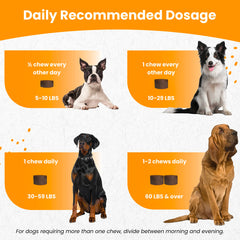 Nootie dog joint support chews promote comfortable movement during walks