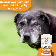Nootie Progility dog eating chews demonstrating flavor and easy dosing.