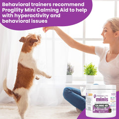 Dog relaxed and ready for travel after taking Nootie Progility Mini calming chews