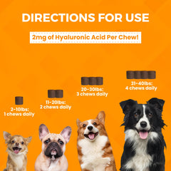 Nootie Progility Mini hip-joint chew label closeup with ingredient highlights for joints.