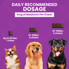 Nootie ProgilityMAX open bar closeup emphasizes convenient single-serve chew format