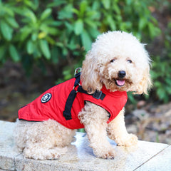 Norbi dog winter jacket with harness worn on dog enables quick, all-in-one outdoor outings.