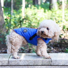 Norbi Pet Warm Jacket back-zipper design enables simple dressing and secure closure