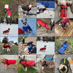 Norbi Pet Warm Jacket side fit showing comfortable movement and quick outfit changes
