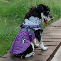 Norbi small dog winter jacket back view highlighting weather protection for chilly city strolls