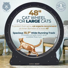 Nordic Beast 48'' XL cat wheel with 15.7-inch wide surface for comfortable two-cat runs.