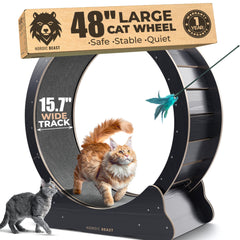 Nordic Beast 48'' XL cat wheel assembled for easy setup and stability.