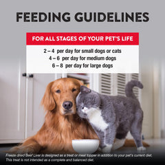 Northwest Naturals treats enjoyed by a dog and cat; versatile rewards during play.
