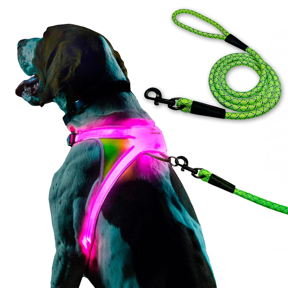 Noxgear LightHound large front view highlights high-visibility LEDs for safer evening walks.