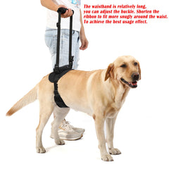 NOYAL dog lift harness back strap adjustment for secure, comfortable transfers.