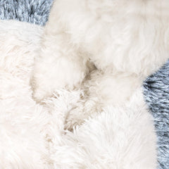 NOYAL Round Hooded Donut Dog Bed hood detail shows secure, den-like interior for anxious pets.