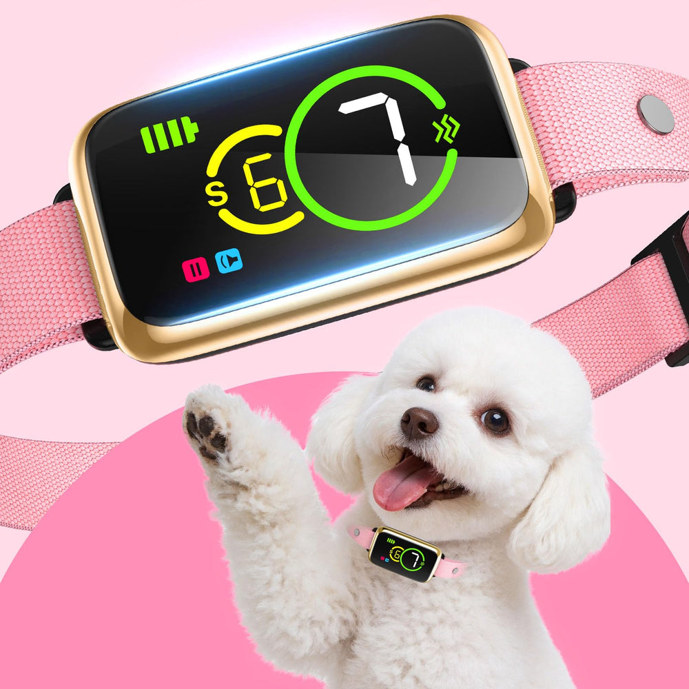 NQQHNN 1S Stop Bark Collar unboxing and humane training tech for calmer homes