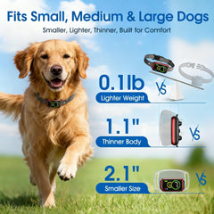 NQQHNN 1S Stop Bark Collar worn by dog during training for calmer sessions.