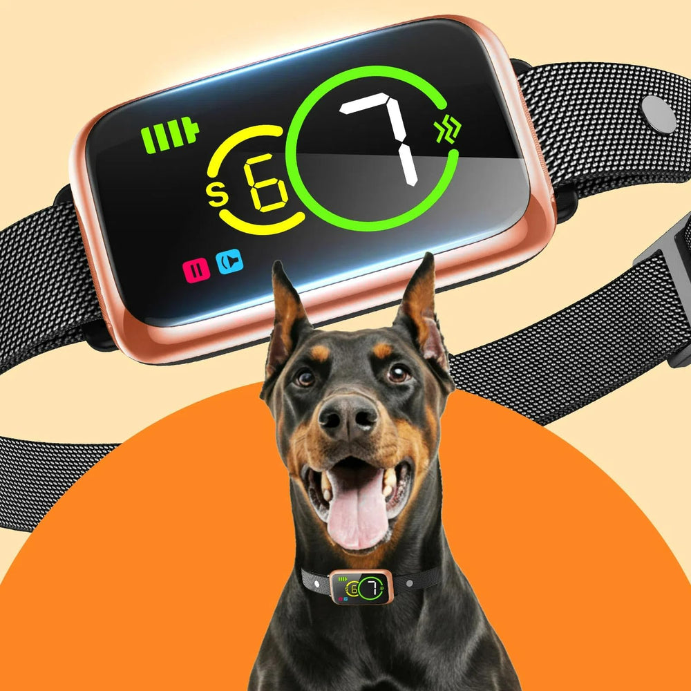 NQQHNN 1S Stop Barking Collar worn on a dog for humane bark control.