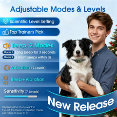 NQQHNN 1S collar on dog, gentle humane corrections for calmer behavior in real-life walks